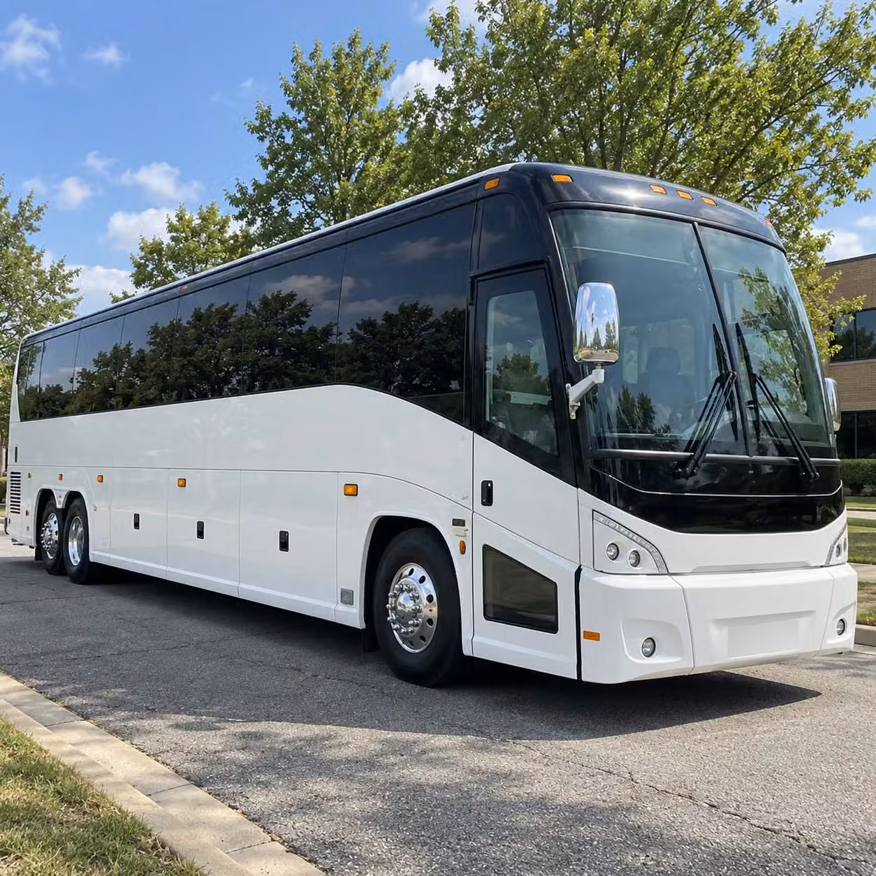 nature and science field trips from roswell are a breeze with the right bus