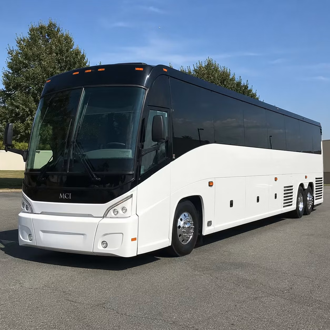 roswell sports teams and fan groups long distance travel done right